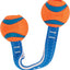 Chuckit! Ultra Duo Dog Tug Toy, Small Indoor and Outdoor Dog Toy