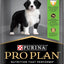 PRO Plan Puppy Dry Dog Food Medium Breed Chicken 15kg