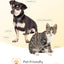 eBpet Blood Glucose Monitor System - Dogs and Cats Glucose Monitoring Kit 25 test kits