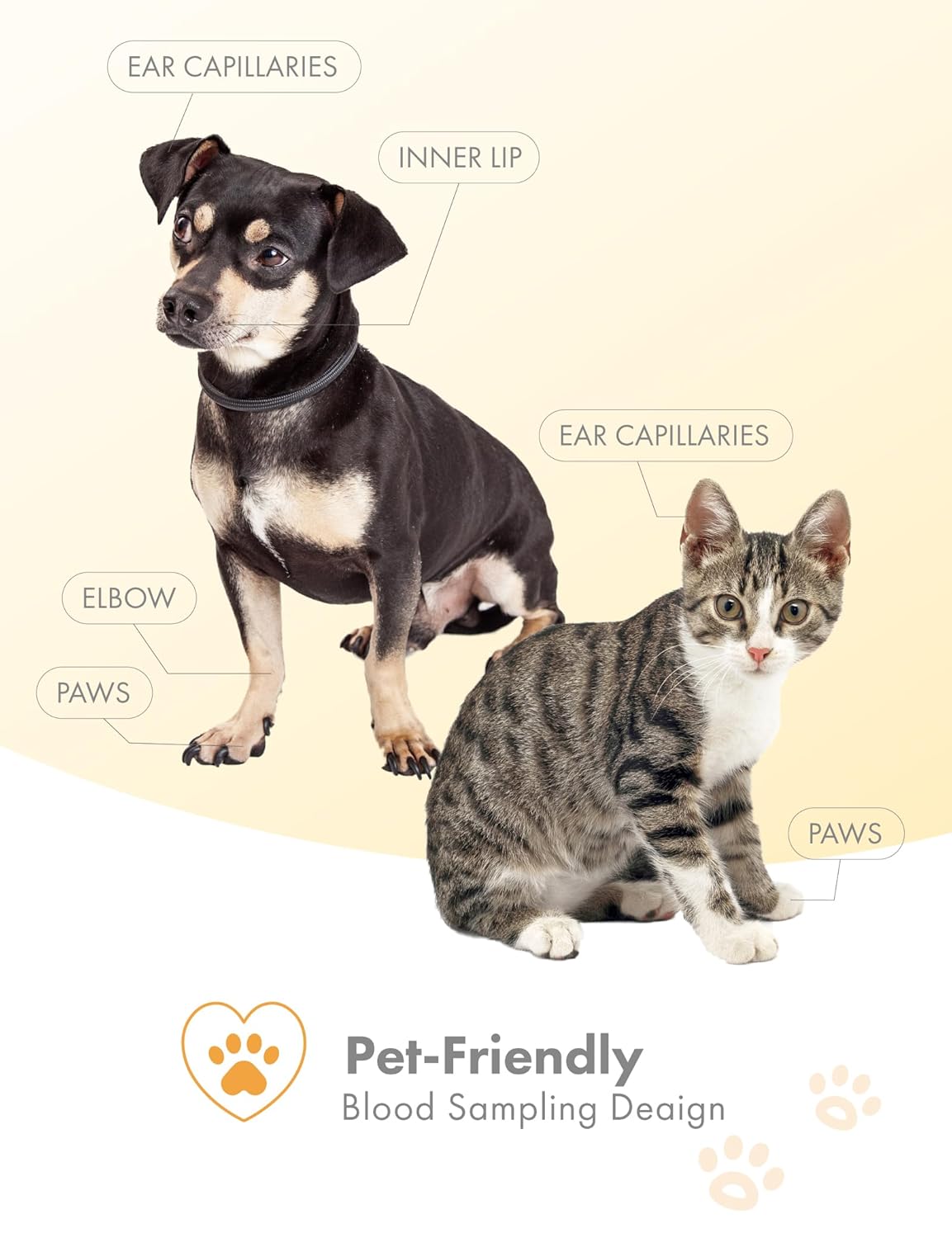 eBpet Blood Glucose Monitor System - Dogs and Cats Glucose Monitoring Kit 25 test kits