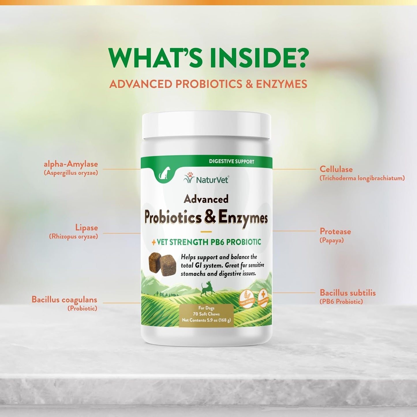 Garmon Corp NaturVet Advanced Probiotics & Enzymes Plus Vet Strength PB6 Probiotic for Dogs, 70 ct Soft Chews, Made in USA