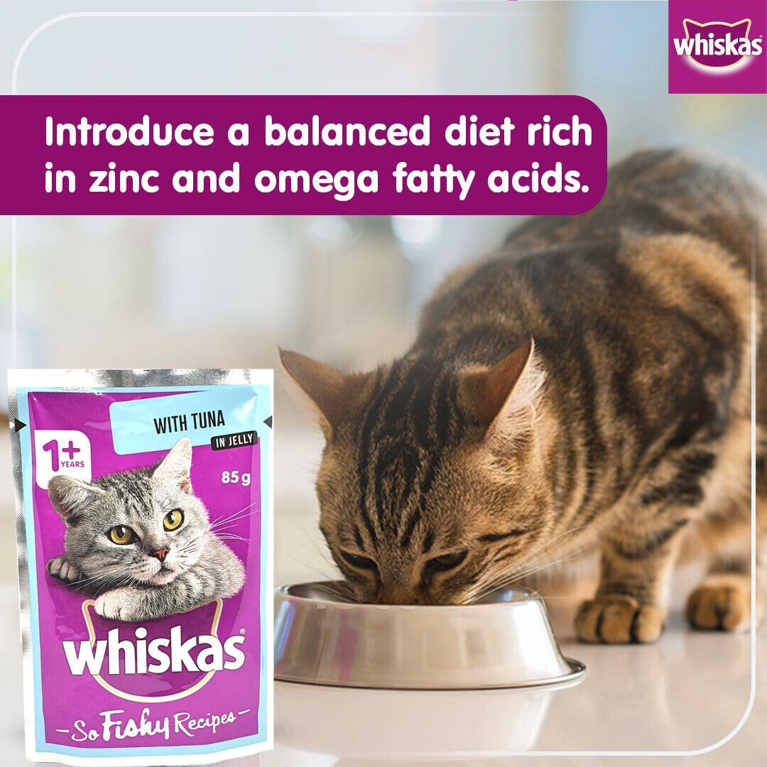 Whiskas So Fishy Ocean Platter in Jelly Adult Cat Wet Food 85g (Pack of 12)