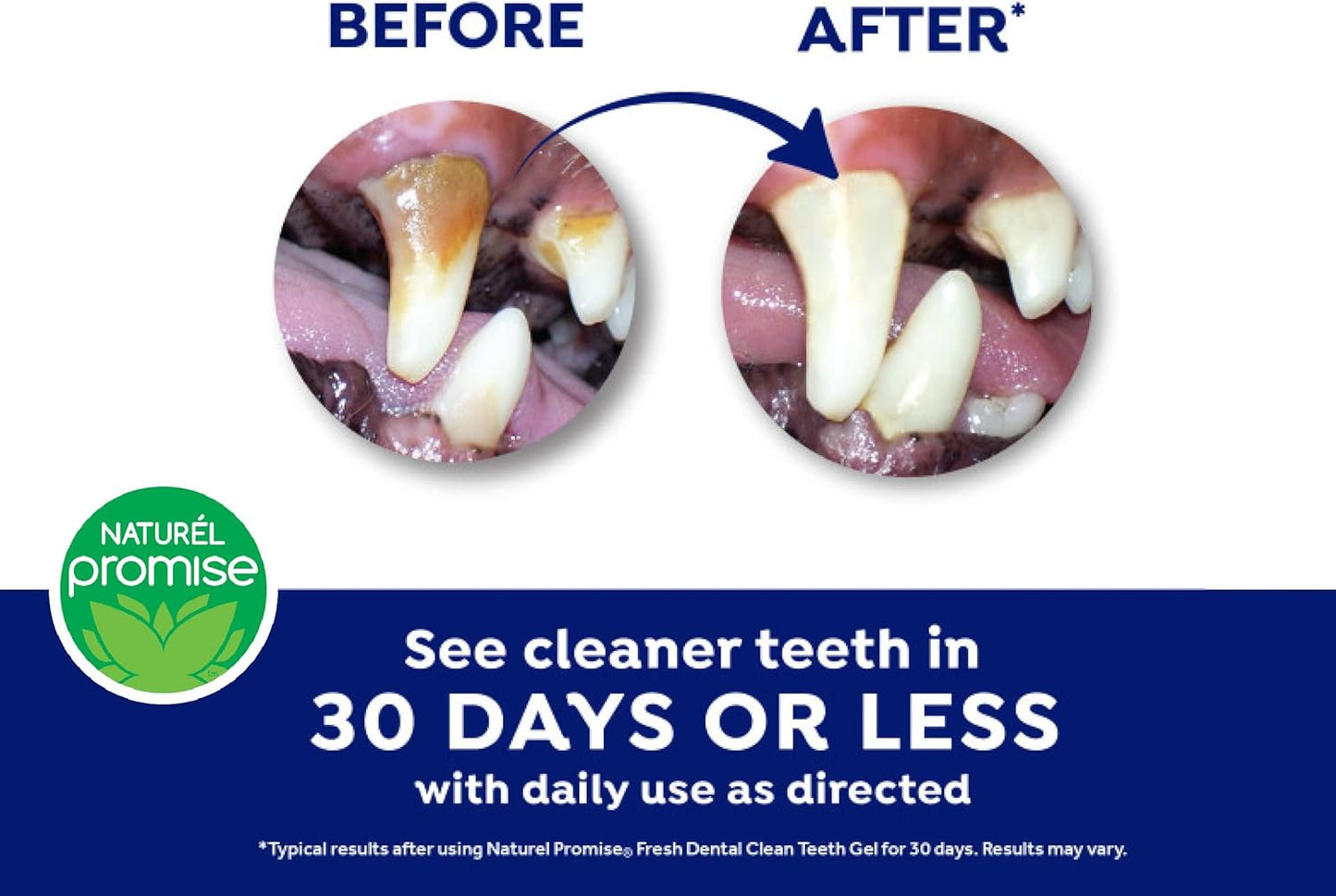 Fresh Dental Dog Toothpaste for Teeth Cleaning,Made in USA, 4oz.