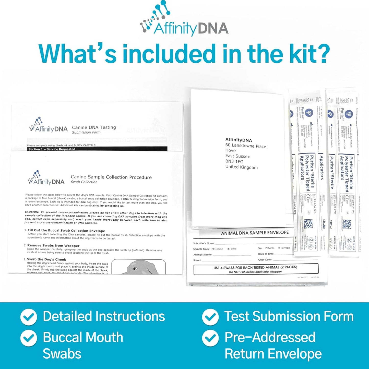 AffinityDNA Dog Collie Eye Anomaly Choroidal Hypoplasia (CEA/CH) DNA Test | Home Sample Collection Kit for 1 Dog | Results in 7 Working Days |