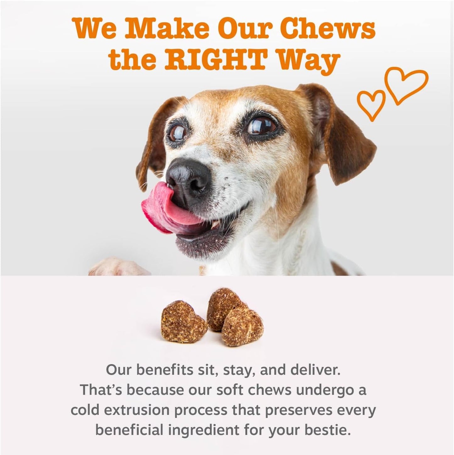 Dog Allergy Relief Chews, Dog Probiotics for Itchy Skin and Ears, Chicken,120ct