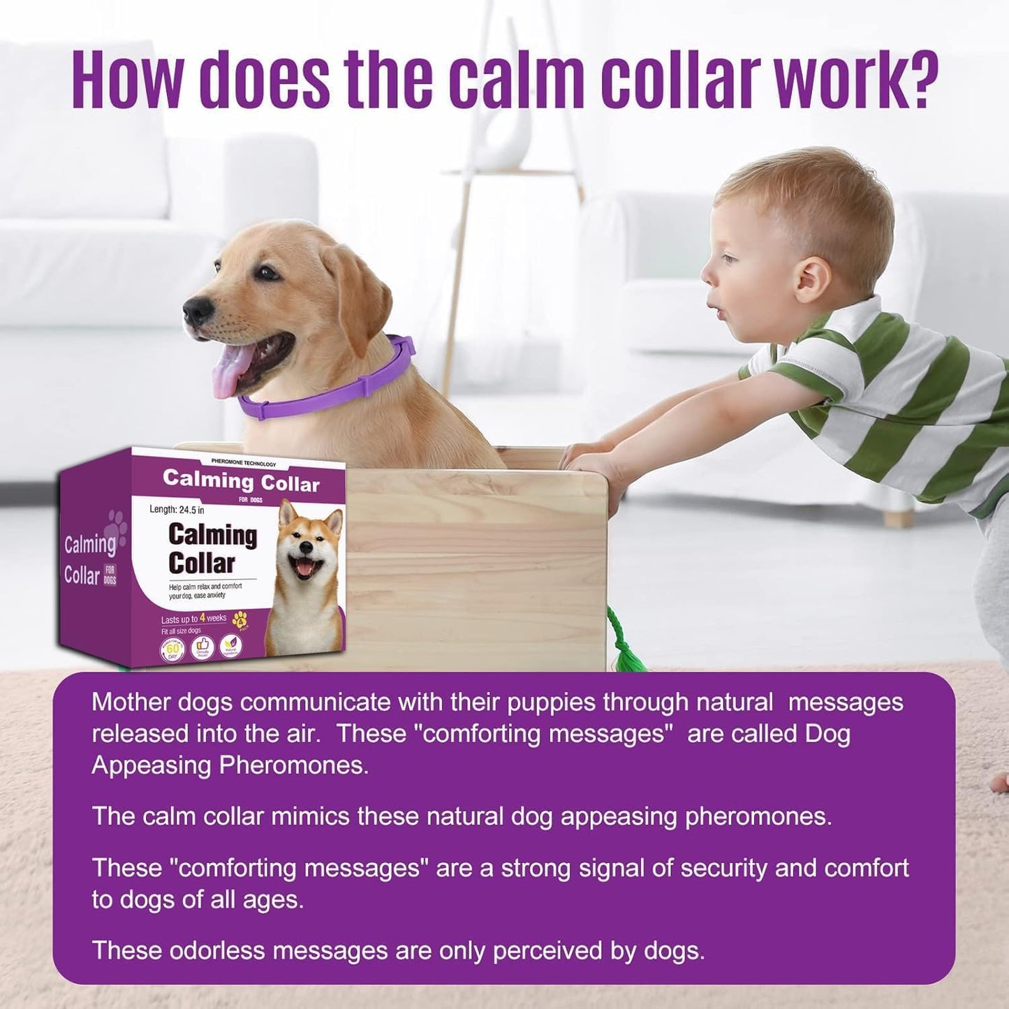 Calming Collar for Dogs 4 Packs, Dog Pheromone Calm Collars Relief Anxiety Stress Separation Lasts 60 Days, Suitable for all size (Pruple)