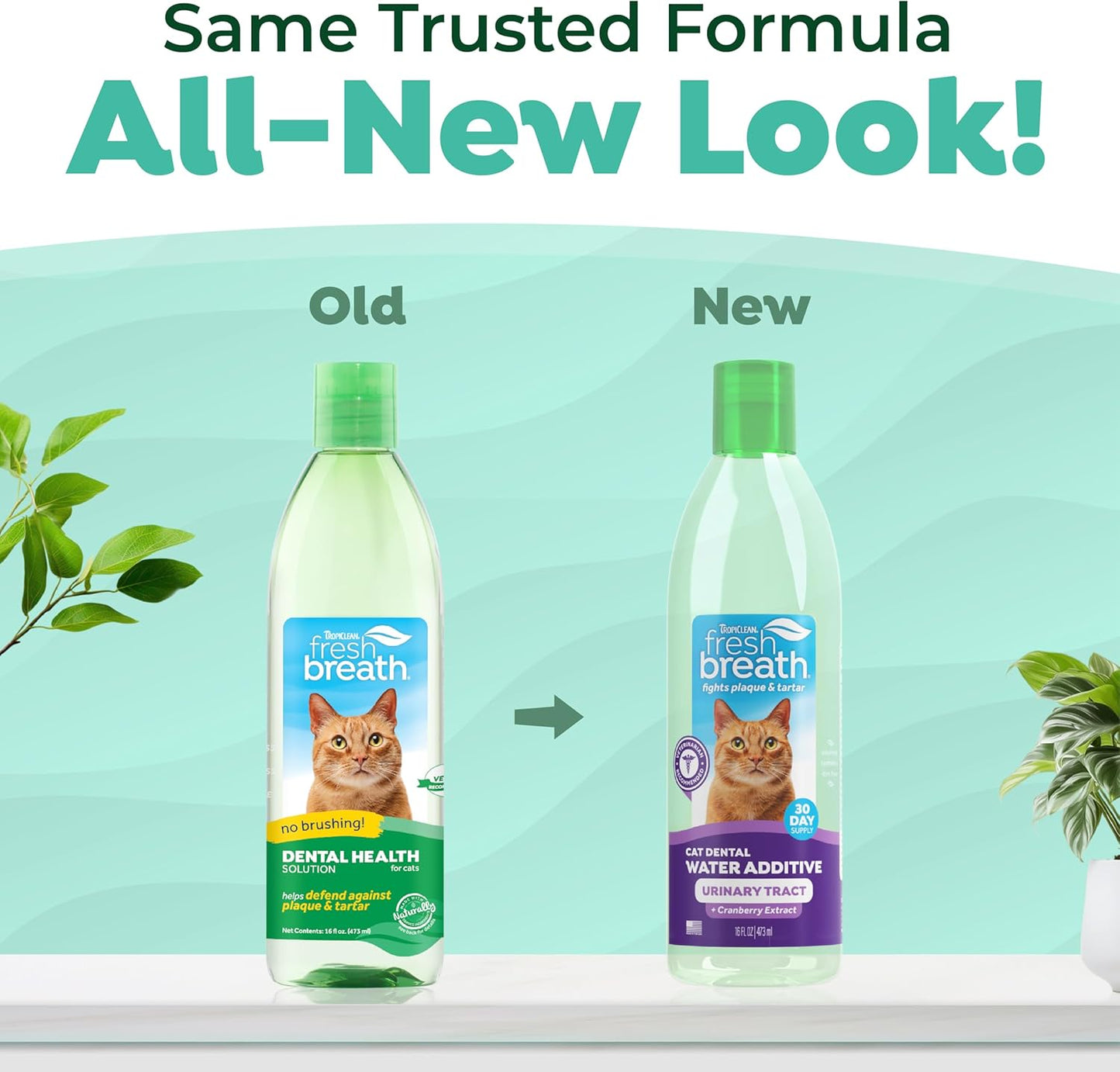 TropiClean Fresh Breath Water Additive for Cats, Cat Teeth Cleaning and Breath Freshener Solution, Complete No Brushing Dental Care, 16 oz.