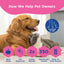 UCARI Pet Sensitivity Test | Screens for 350+ Intolerances | Food & Ingredients Analysis | Results in 48 Hours | Cats & Dogs