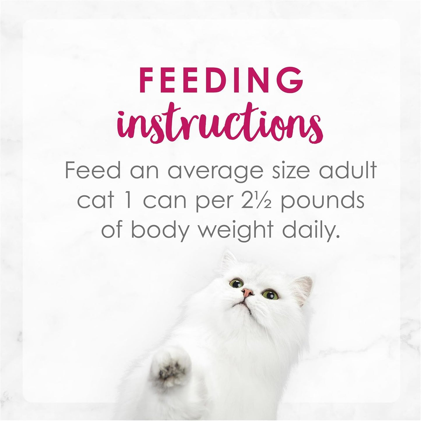 FANCY FEAST Delights With Cheddar Adult Wet Cat Food Grilled Chicken & Cheddar Cheese Feast in Gravy 24x85g
