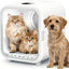 62L Dog Dryer Box, 360° Efficient Automatic and Quiet Cat Pet Dryer Box with Smart Temperature Control, Ideal for Cats and Medium Dogs (white)