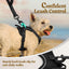 rabbitgoo Dog Harness, No-Pull Pet Harness with 2 Leash Clips, Adjustable Soft Padded Dog Vest, Reflective No-Choke Pet Oxford Vest with Easy Control Handle for Small Dogs, Black, XS