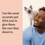 Wisdom Panel Complete: Comprehensive Cat DNA Test