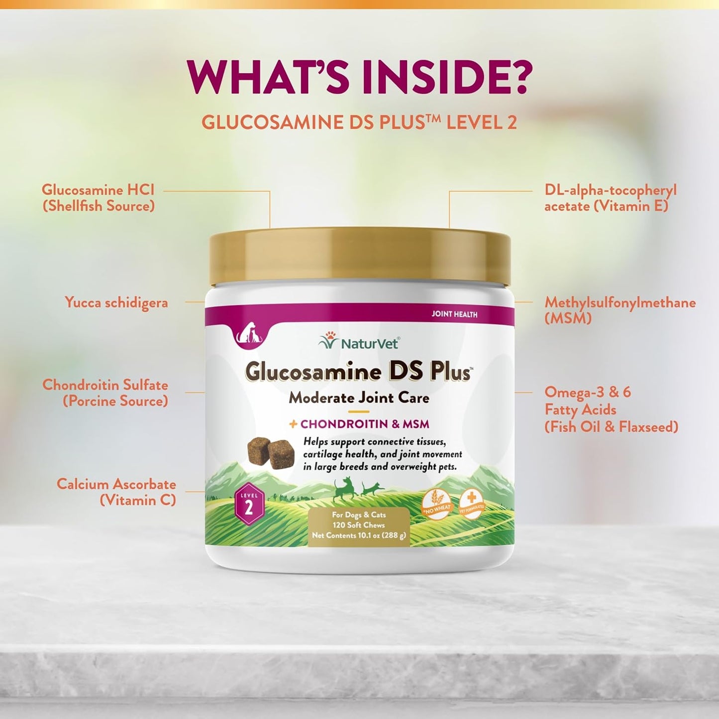 NaturVet Glucosamine DS Plus Level 2 Moderate Joint Care for Dogs and Cats, 120 ct Soft Chews, Made in USA