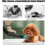 Dog Hair Dryer 2800 W Dog Blower Dog Hair Dryer Very Quiet Professional Dog Hair Dryer