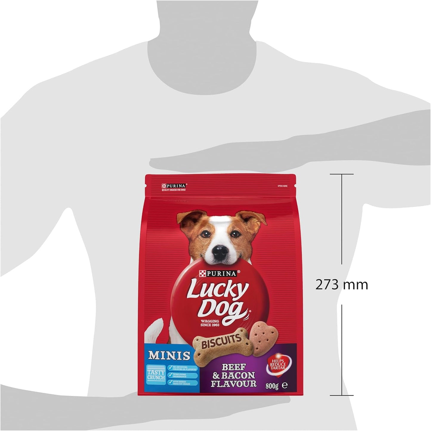 LUCKY DOG Adult Dog Treats Mini Beef and Bacon 800g