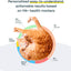 Basepaws Cat DNA Test Kit - Comprehensive Breed, Health and Dental Analysis Across 114 Traits for Accurate and Easy-to-Use Genetic Insights