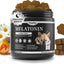 Melatonin for Dogs, Calming Chews with Valerian Root & L-Theanine for Sleep Aid & Emotional Support, Calming Treats for Stress Anxiety Relief - Thunder, Fireworks, Barking, Bacon Flavor, 90Ct