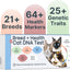 Basepaws Cat DNA Test Kit - Comprehensive Breed, Health and Dental Analysis Across 114 Traits for Accurate and Easy-to-Use Genetic Insights