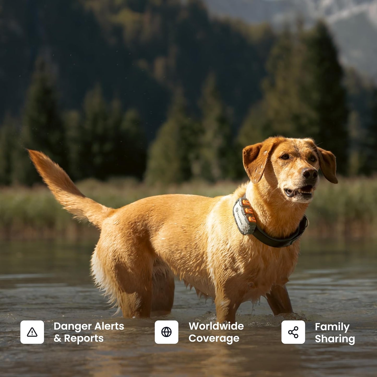 Tractive XL Smart Dog GPS Tracker | Live Pet Tracker with Virtual Fence | Vital Signs Monitoring of Heart & Respiratory Rate | Up to 1-Month Battery Life | Dog Collar Attachment (Adventure Edition)