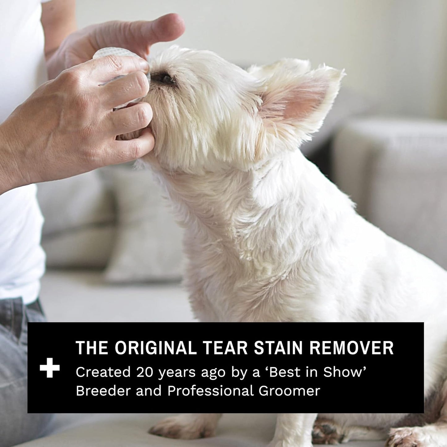 Eye Envy Dog Tear Stain Remover Starter Kit | Tear Stain Essentials in one kit at a 2-Step System | Lasts 30-45 Days