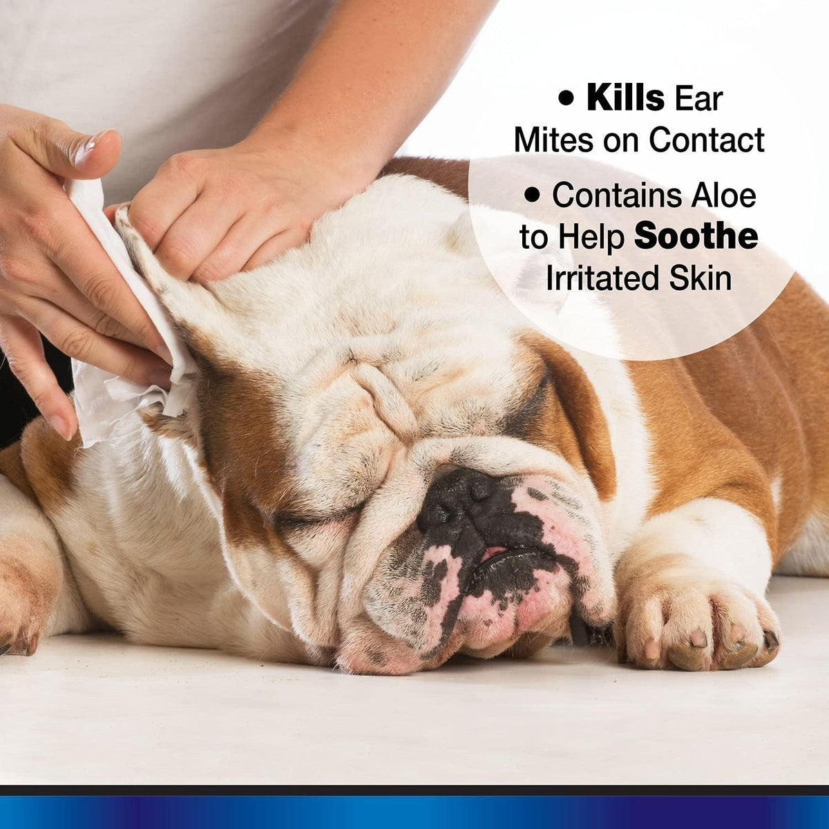 Aloe Ear Mite Treatment For Dogs – Petshavenaus