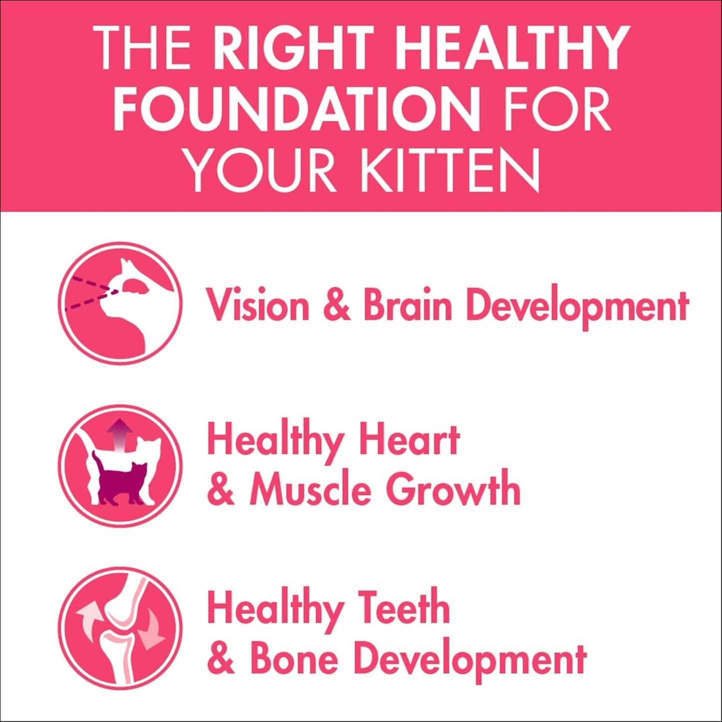 PURINA ONE Kitten Dry Cat Food Immune Defence Plus+ Chicken 1.4kg