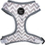 4-Piece Walkies Bundle [Pipco Pets] - Adjustable Dog Harness + Collar + Lead + Poo Bag | (XS, Gettin' Ziggy)