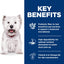 Hill's Science Diet Sensitive Stomach & Skin Adult Small Bites, Chicken Recipe, Dry Dog Food, 6.8kg Bag