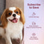 HICC PET Wipes for Dogs and Cats, Vet-Recommended Pets Cleaning Wipes, Deodorizing Hydrating, Nourishes Smoothes Fur, Fermented Coconut Oil Grooming Paws, Body and Butt, Thicken, Unscented, 100 Count