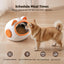 RFID Cat Feeder with Collar Sensors – Automatic Timed Pet Feeder for Multi-Cat, 4 Feeding Modes