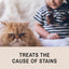 Eye Envy Tear Stain Remover Solution for Cats|100% Natural and Safe|Recommended by Breeders/vets/cat fanciers/Groomers|Contains colloidal Silver, 2oz