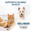 Nutramax Solliquin Calming Behavioral Health Supplement for Small to Medium Dogs and Cats - With L-Theanine, Magnolia / Phellodendron, and Whey Protein Concentrate, 75 Soft Chews