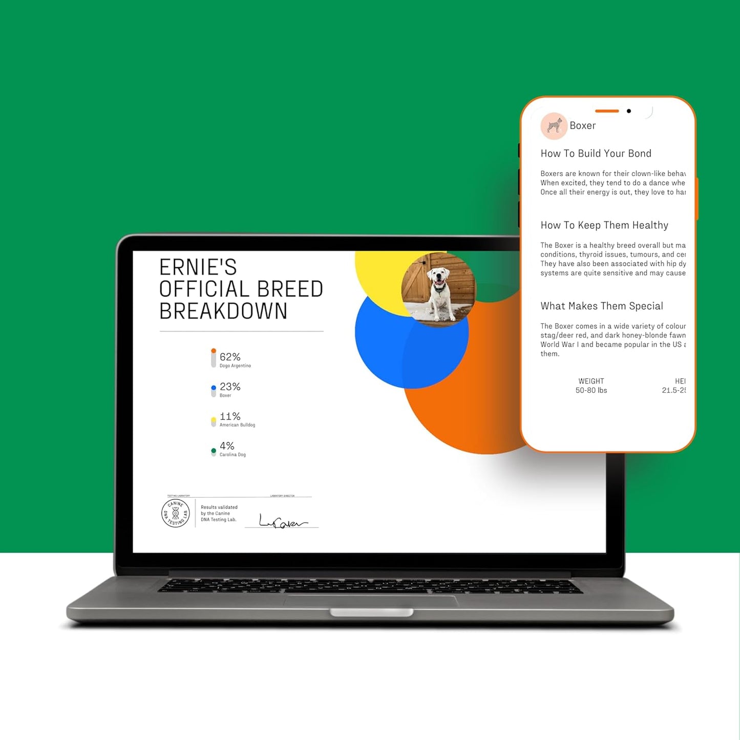 DNA MY DOG – Trusted & Affordable Breed Identification Test | 350+ Breeds Identified w/ 99%+ Accuracy