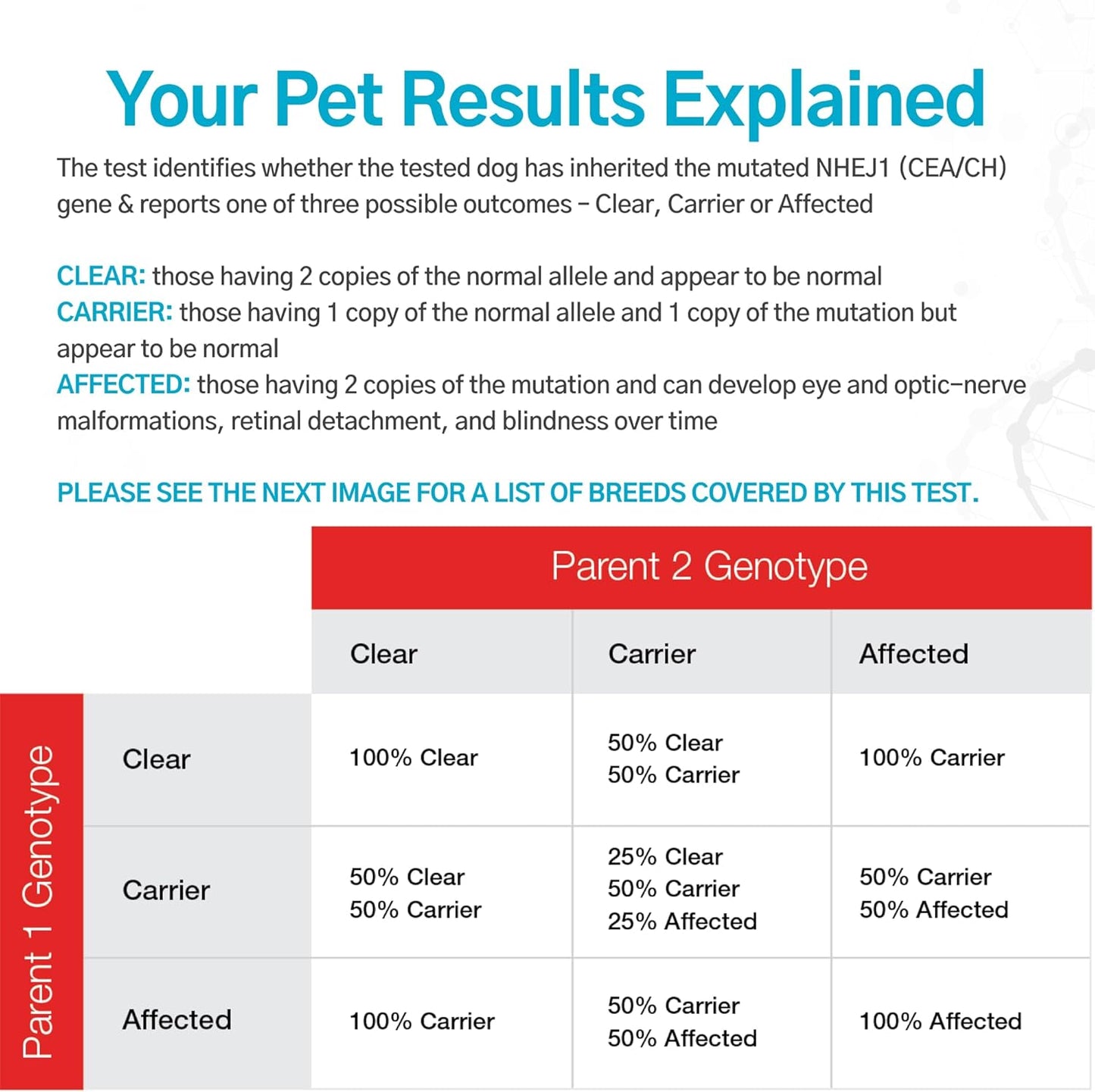 AffinityDNA Dog Collie Eye Anomaly Choroidal Hypoplasia (CEA/CH) DNA Test | Home Sample Collection Kit for 1 Dog | Results in 7 Working Days |