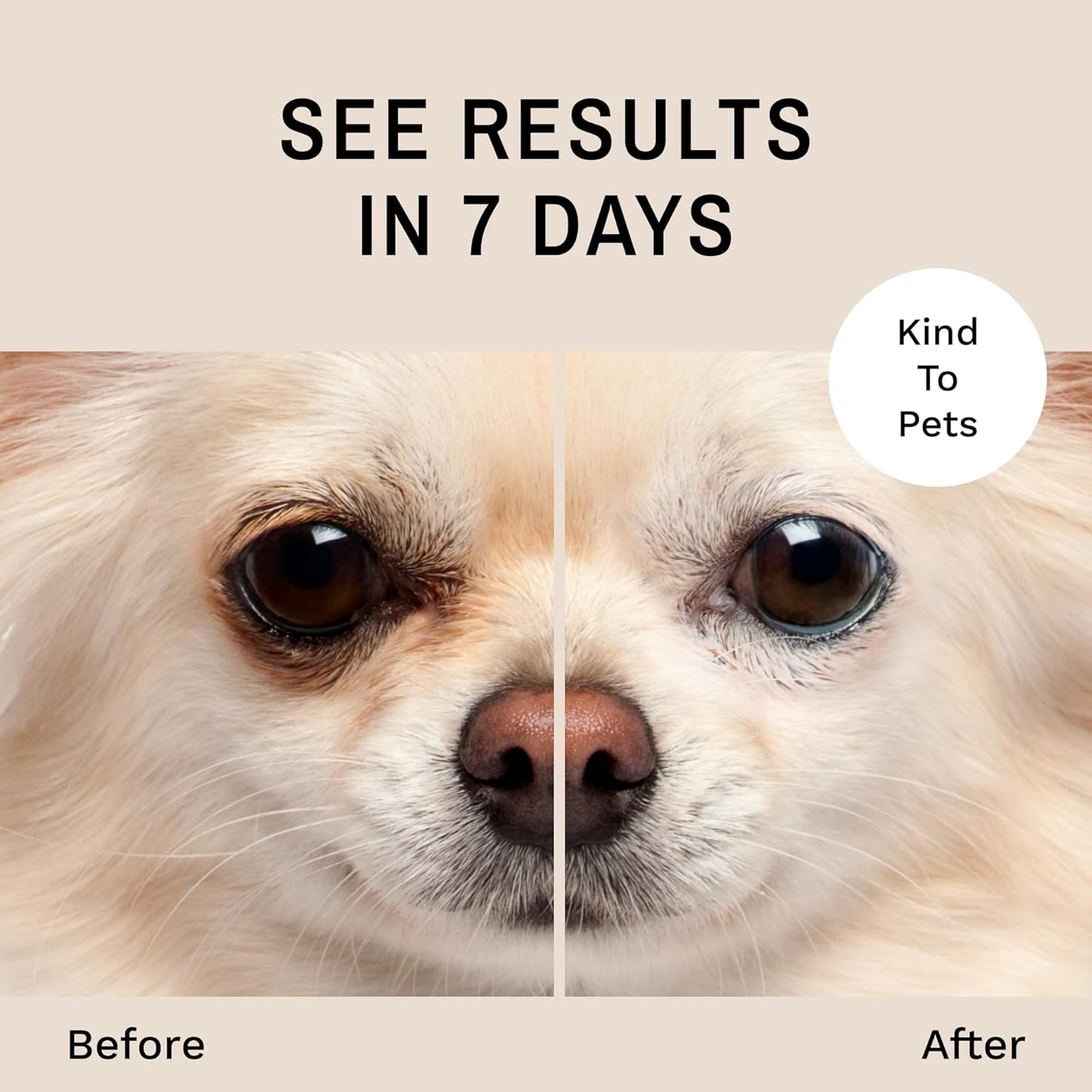 Eye Envy Tear Stain Remover Solution for Dogs|100% Natural,Safe|Recommended by Breeders/Vet/Professional Handlers/Groomers|Contains colloidal Silver,16oz