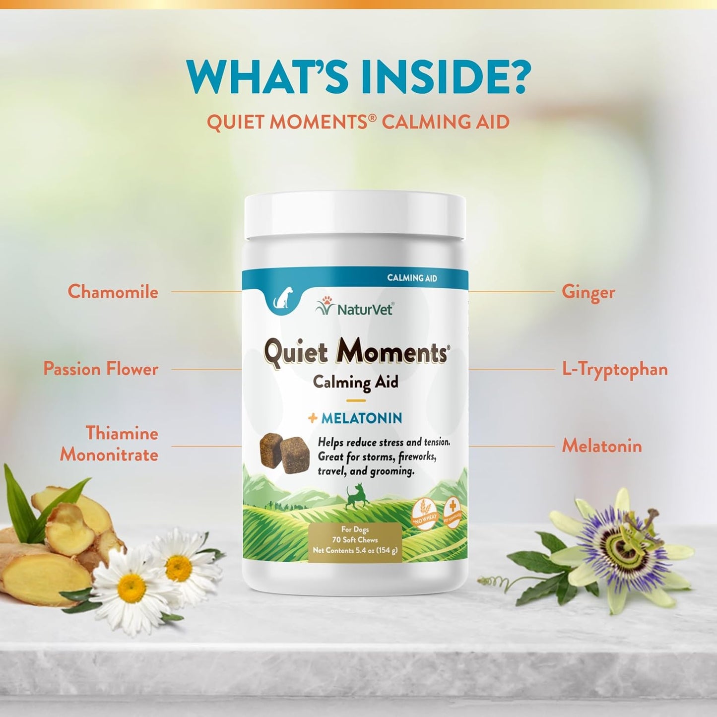 NaturVet Quiet Moments Calming Aid Dog Supplement