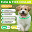 Dog Flea & Tick Collar 4 Pack – Natural Flea and Tick Prevention Collar, Waterproof, Adjustable, Long-Lasting Protection for Small, Medium & Large Dogs | 24 Months Total Protection