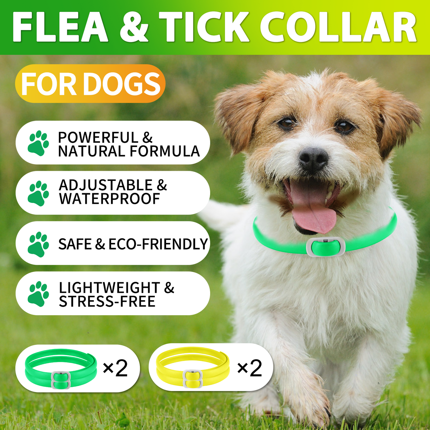 Dog Flea & Tick Collar 4 Pack – Natural Flea and Tick Prevention Collar, Waterproof, Adjustable, Long-Lasting Protection for Small, Medium & Large Dogs | 24 Months Total Protection