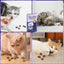 HavenJanny 20pcs Dried Silvervine Gall Fruit, Natural Silver Vine Cat Chew Toy