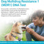 AffinityDNA Dog Multidrug Resistance 1 (MDR1) DNA Test Kit | Home Sample Collection Kit for 1 Canine