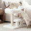 Heybly Cat Scratching Post with Grooming Brush & Gentle Step, HSP001SWH | White