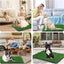 Dog Grass Mat with Pee Pad 20×25", Small Dog Litter Box