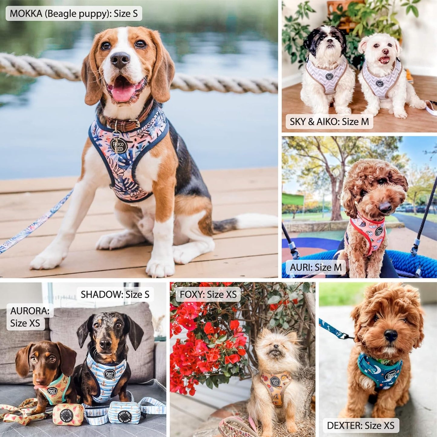 3-Piece Walkies Bundle [Pipco Pets] - Adjustable Dog Harness + Lead + Poo Bag Dispenser | Medium