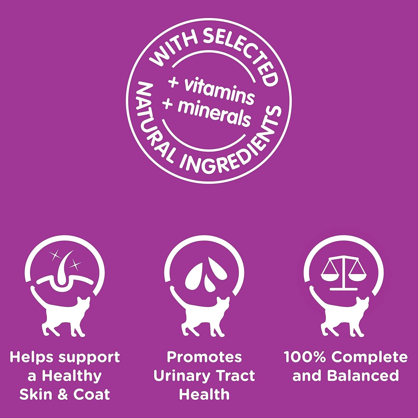 WHISKAS 1+ Years Wet Cat Food with Mixed Favourites in Gravy 12 x 85g, 5 Pack (60 Pouches)
