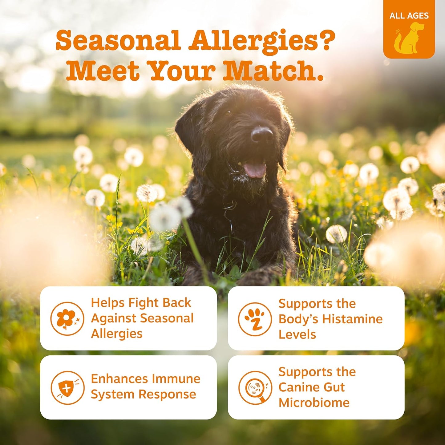 Dog Allergy Relief Chews, Dog Probiotics for Itchy Skin and Ears, Chicken,120ct