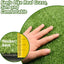 GLOBREEN Artificial Grass for Dog, 2FTx6FT Large Fake Grass Pee Pad for Dogs Potty Training, Indoor Outdoor Turf Pets Playpen Mat Balcony Apartment, GLB-PP8MM-2X6