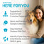 AffinityDNA Dog Collie Eye Anomaly Choroidal Hypoplasia (CEA/CH) DNA Test | Home Sample Collection Kit for 1 Dog | Results in 7 Working Days |