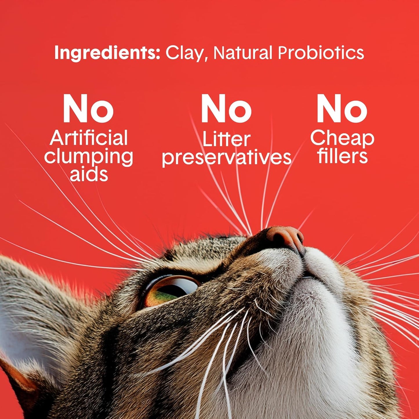 Boxie® Extra Strength 35 Day Odour Control Clumping Clay Cat & Kitty Litter 40lb, 99.9%-USA made
