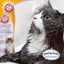 Arm & Hammer 2-in-1 Dander and Odor Control Shampoo for Cats 591 ml