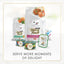 FANCY FEAST Delights With Cheddar Adult Wet Cat Food Grilled Chicken & Cheddar Cheese Feast in Gravy 24x85g